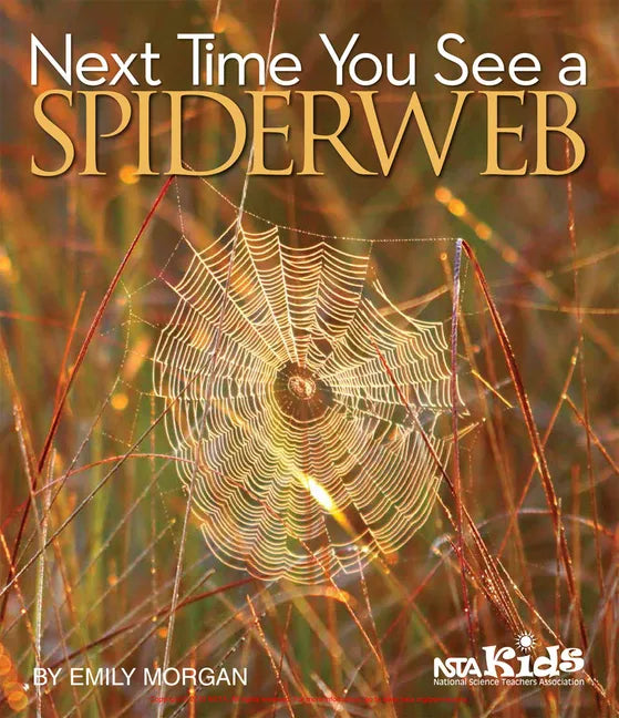 Next Time You See a Spiderweb - Paperback