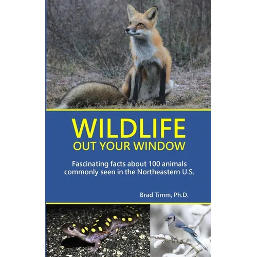 Wildlife Out Your Window: Fascinating Facts About 100 Animals Commonly Seen in the Northeastern U.S. - Paperback