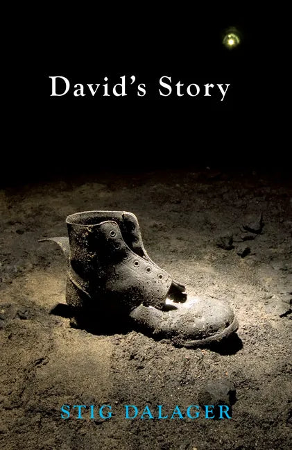 David's Story - Paperback