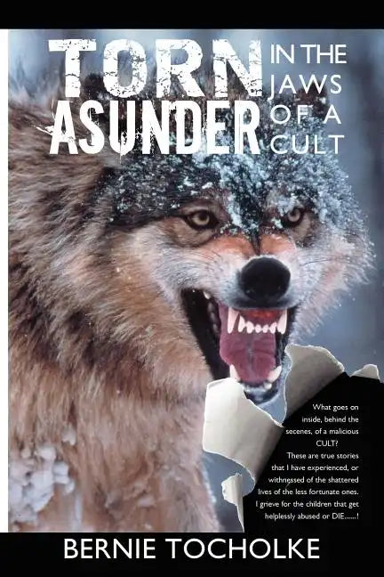 Torn Asunder - Paperback