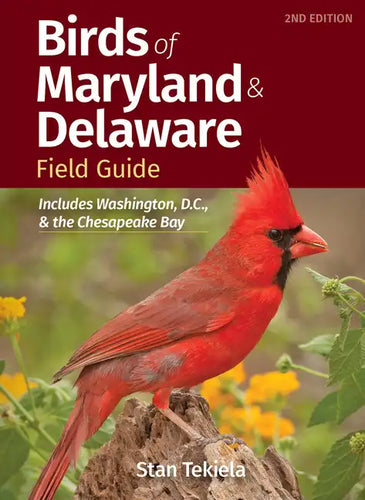 Birds of Maryland & Delaware Field Guide: Includes Washington, D.C., & the Chesapeake Bay - Paperback