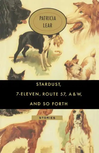 Stardust, 7-Eleven, Route 57, A&W, and So Forth: Stories - Paperback