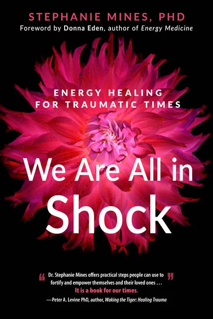 We Are All in Shock: Energy Healing for Traumatic Times - Paperback