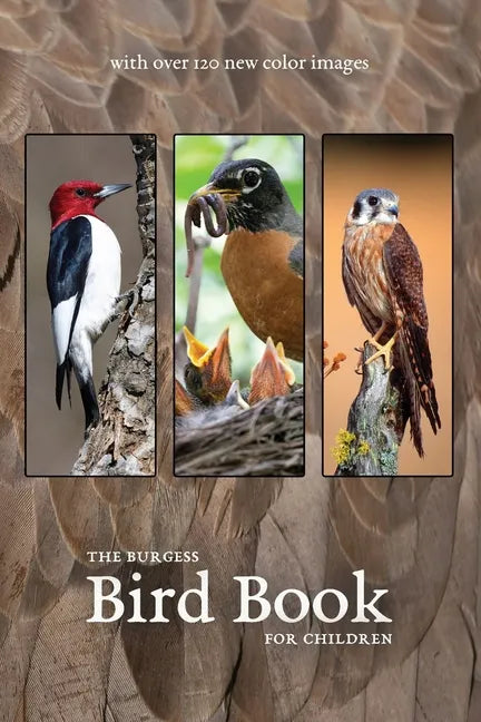 The Burgess Bird Book with new color images - Paperback