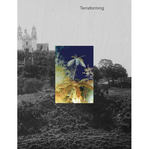 Terraforming: Olana's Historic Photography Collection Unearthed - Hardcover
