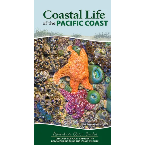Coastal Life of the Pacific Coast: Discover Tidepools and Identify Beachcombing Finds and Iconic Wildlife - Spiral
