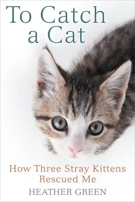To Catch a Cat: How Three Stray Kittens Rescued Me - Paperback
