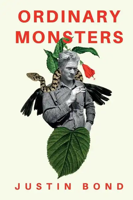 Ordinary Monsters - Paperback