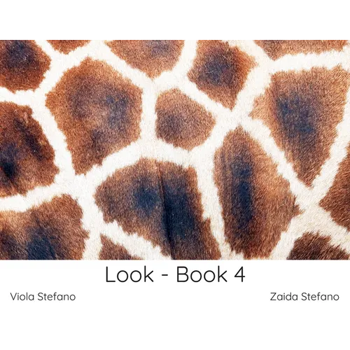 Look - Book 4 - Paperback