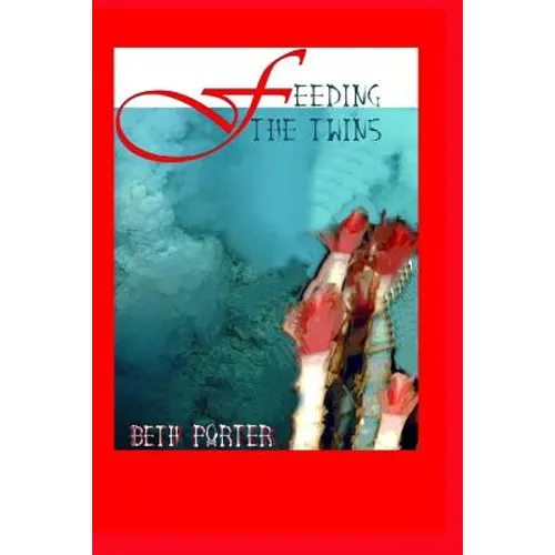 Feeding the Twins - Paperback