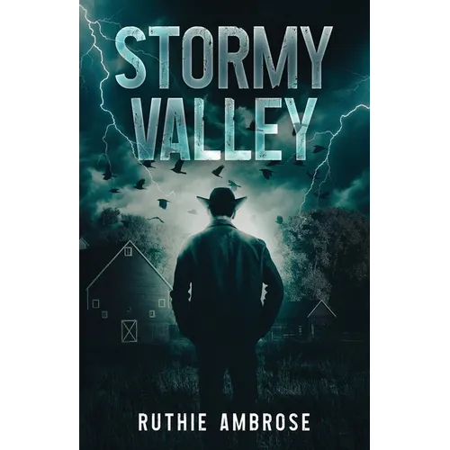 Stormy Valley - Paperback