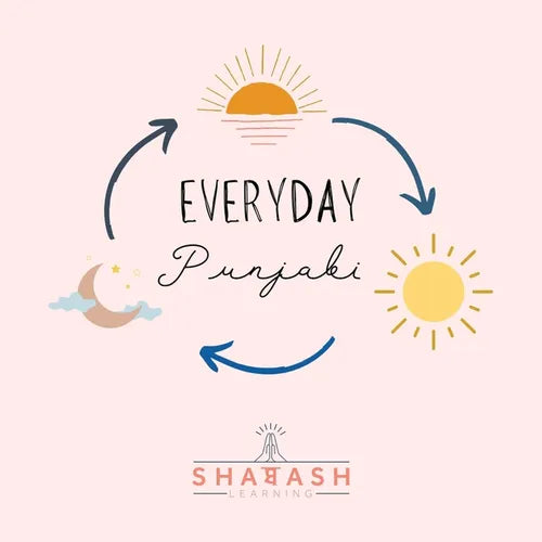 Everyday Punjabi - Paperback