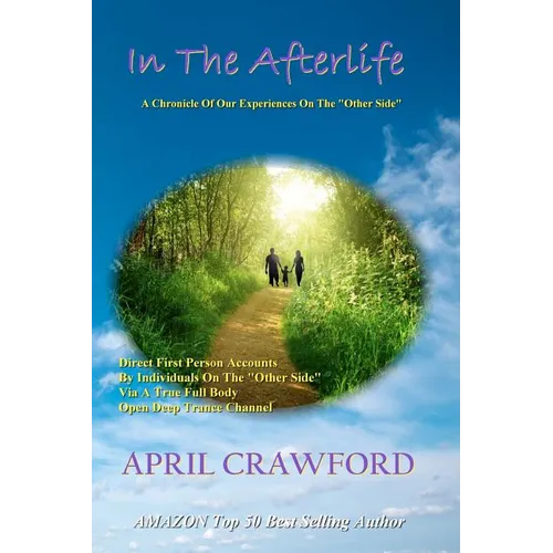 In The Afterlife: A Chronicle Of Our Experiences On The 