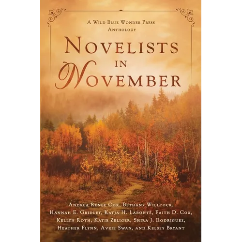 Novelists in November: a Wild Blue Wonder Press anthology - Paperback