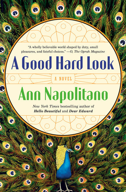 A Good Hard Look - Paperback