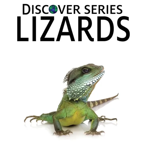 Lizards - Hardcover