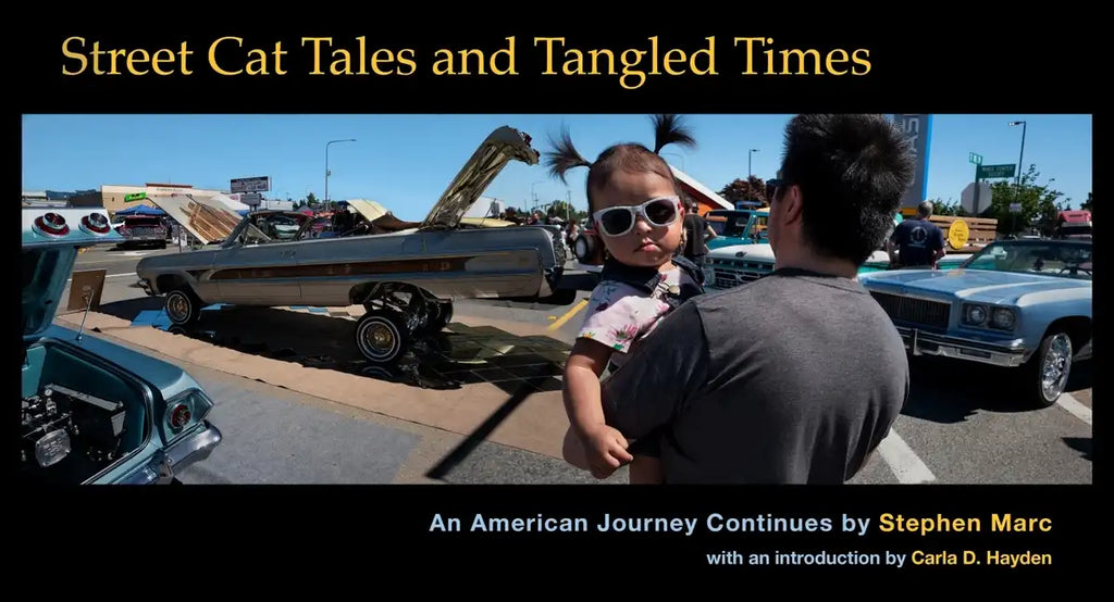 Street Cat Tales and Tangled Times: An American Journey Continues - Hardcover