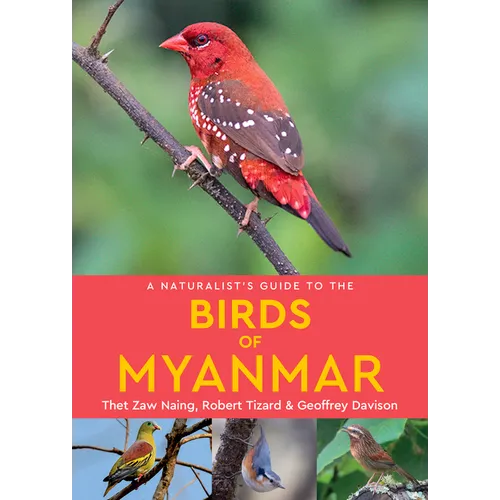 A Naturalist's Guide to the Birds of Myanmar - Paperback