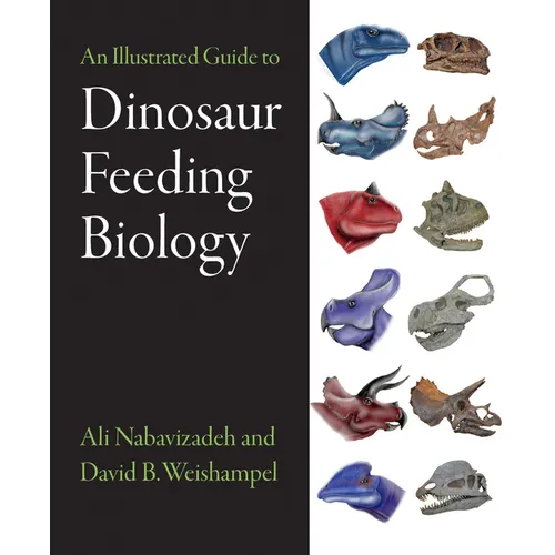 An Illustrated Guide to Dinosaur Feeding Biology - Hardcover