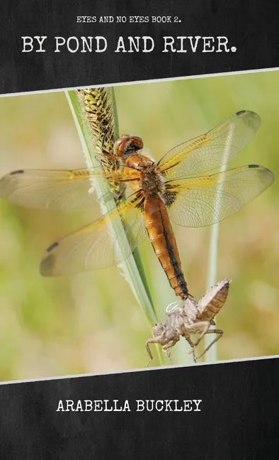 By Pond and River - Hardcover