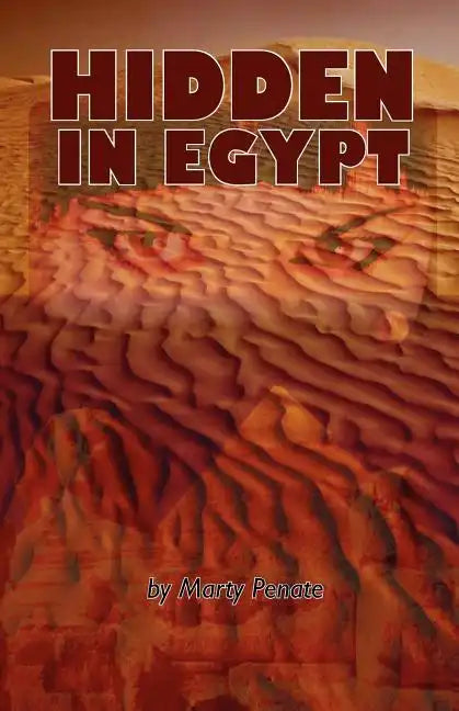 Hidden In Egypt: Rafael Garcia is murdered! The police are convinced his wife Pam is the main suspect. All of the evidence points to he - Paperback