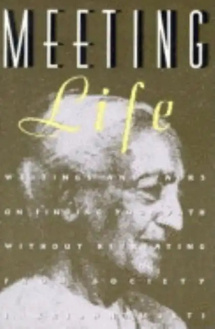 Meeting Life: Writings and Talks on Finding Your Path Without Retreating from Society - Paperback