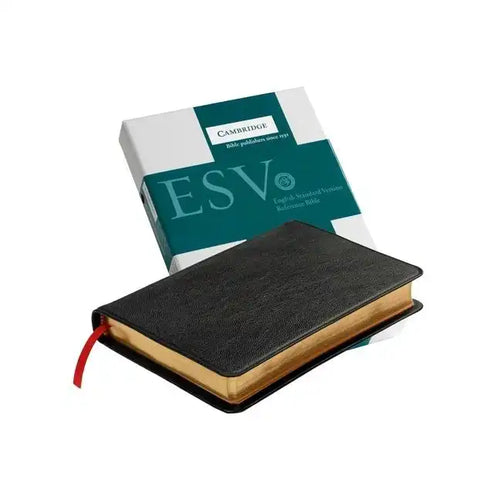 Pitt Minion Reference Bible-ESV - Leather