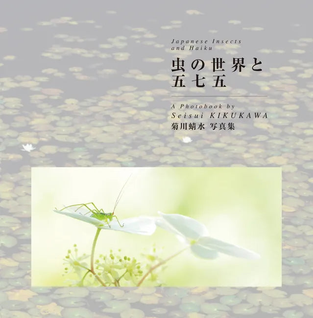 Japanese Insects and Haiku - Paperback