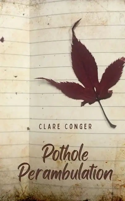 Pothole Perambulation - Paperback