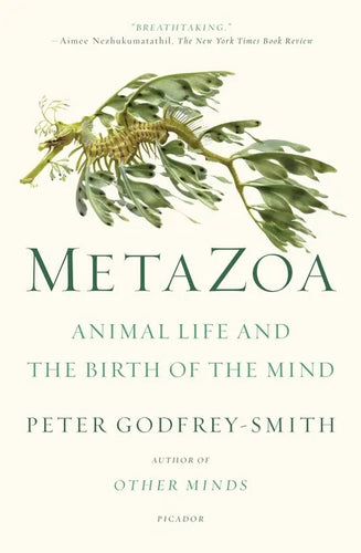 Metazoa: Animal Life and the Birth of the Mind - Paperback