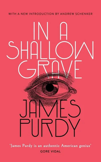 In a Shallow Grave (Valancourt 20th Century Classics) - Paperback