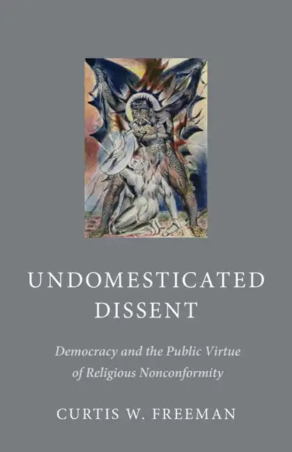 Undomesticated Dissent: Democracy and the Public Virtue of Religious Nonconformity - Hardcover