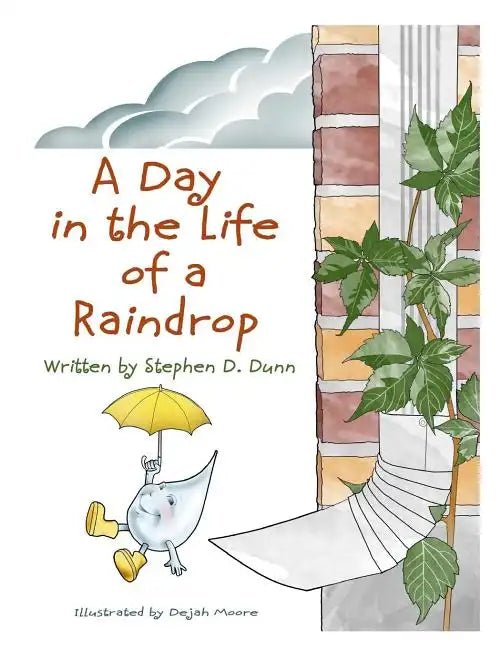 A Day In The Life Of A Raindrop - Paperback