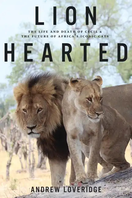 Lion Hearted: The Life and Death of Cecil & the Future of Africa's Iconic Cats - Paperback