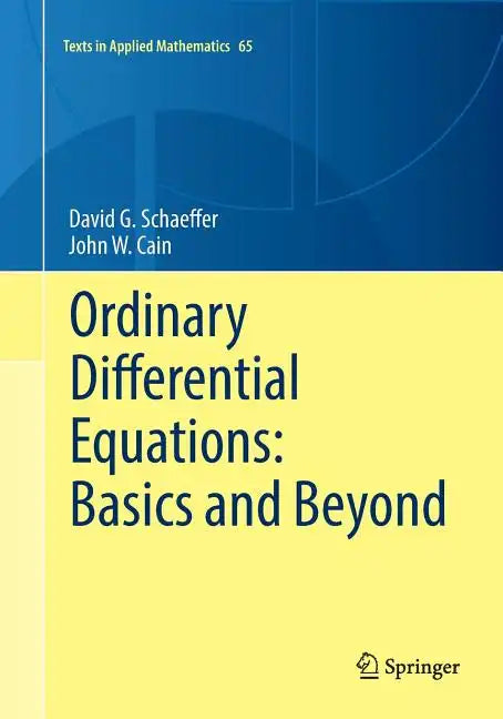 Ordinary Differential Equations: Basics and Beyond - Paperback