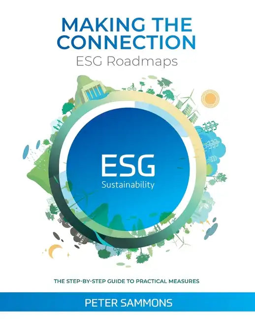 Making the Connection - ESG Roadmaps: The Step-By-Step Guide to Practical Measures - Paperback