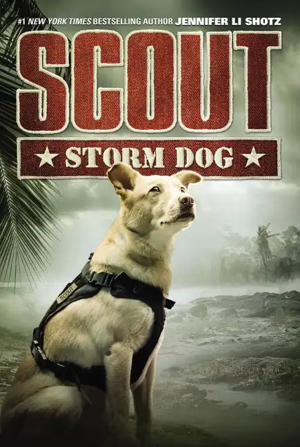Scout: Storm Dog - Paperback