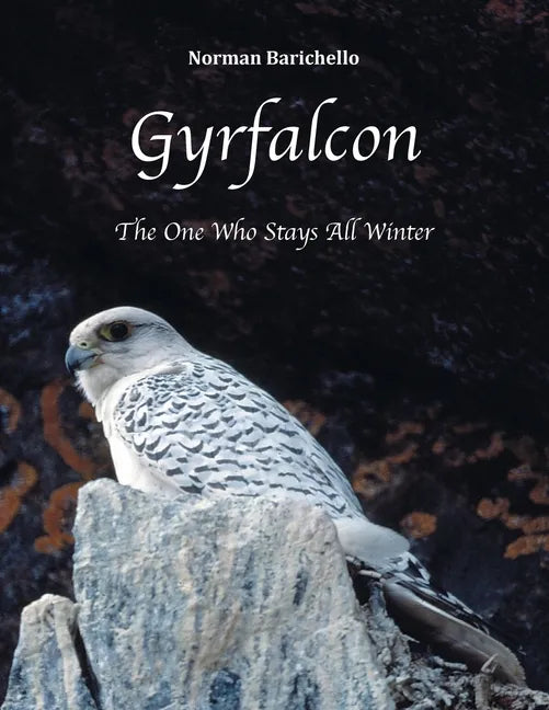 Gyrfalcon: The One Who Stays All Winter - Paperback