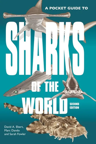 A Pocket Guide to Sharks of the World: Second Edition - Paperback