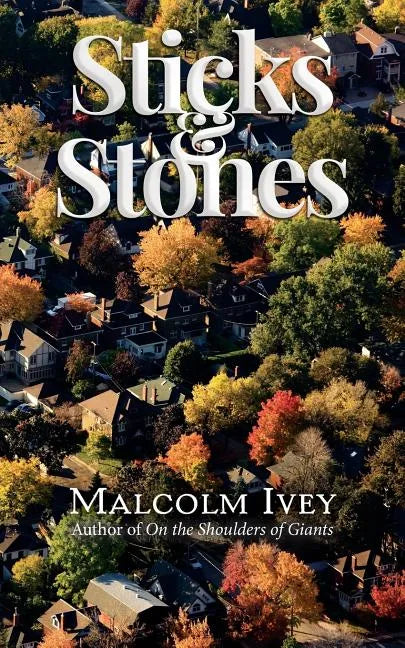 Sticks & Stones - Paperback