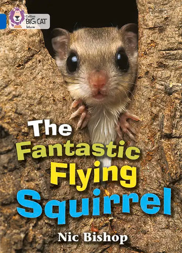 The Fantastic Flying Squirrel: Band 04/Blue - Paperback