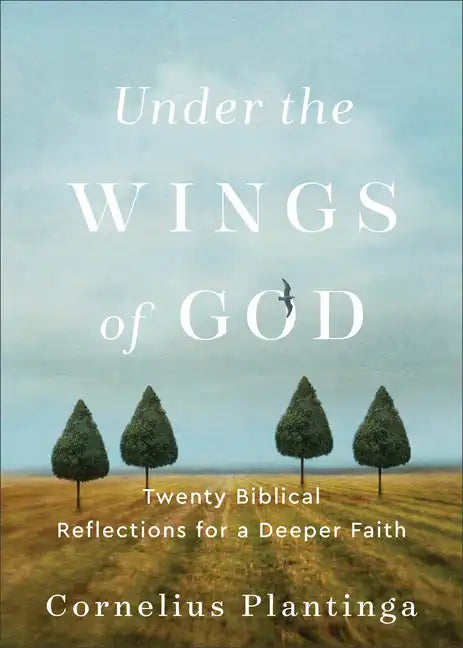 Under the Wings of God: Twenty Biblical Reflections for a Deeper Faith - Paperback
