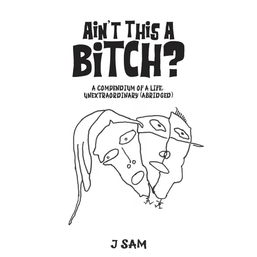 Ain't This a Bitch? - Paperback