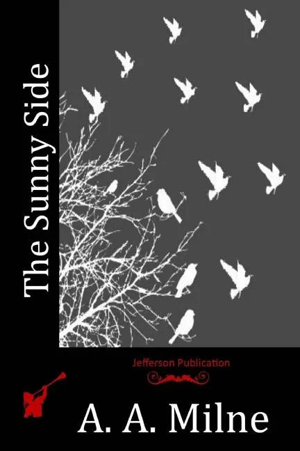 The Sunny Side - Paperback
