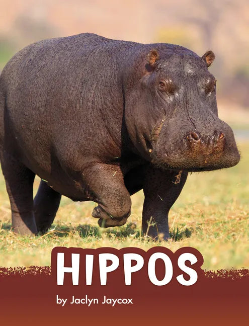 Hippos - Hardcover