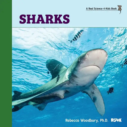 Sharks - Paperback