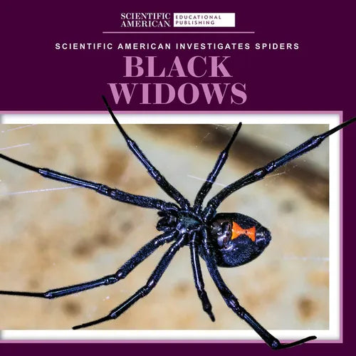 Black Widows - Library Binding