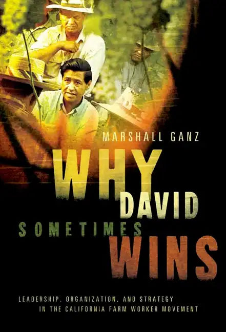 Why David Sometimes Wins: Leadership, Organization, and Strategy in the California Farm Worker Movement - Paperback