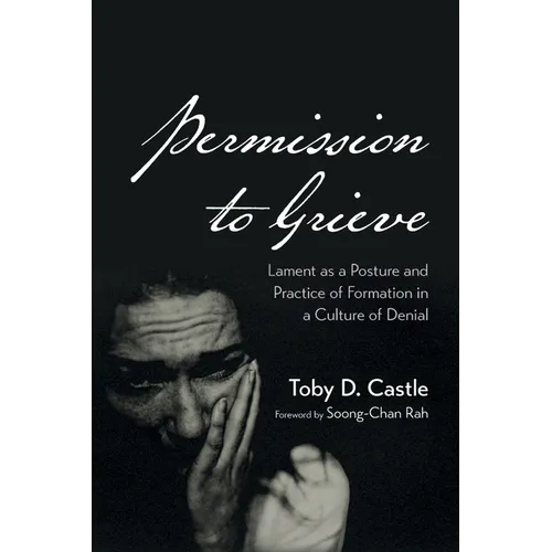 Permission to Grieve - Hardcover