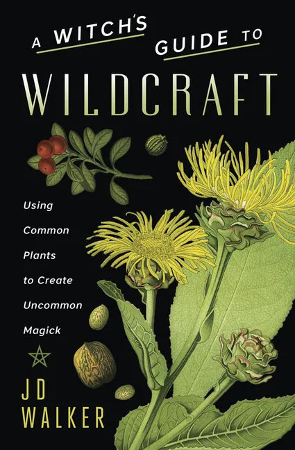 A Witch's Guide to Wildcraft: Using Common Plants to Create Uncommon Magick - Paperback